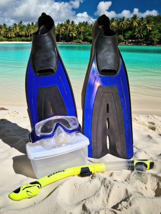 Velocity Oceanic Magnum EX Other - Snorkel Set Velocity Fins 7-8 Magnum EX.Mask and Oceanic Snorkel, Used One Time